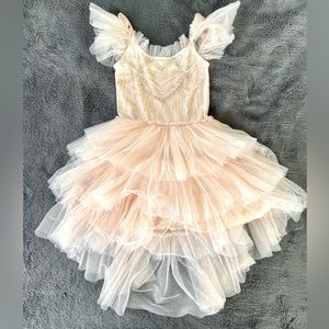 Beautiful Tutu Du Monde pale pink dress with beaded top.
